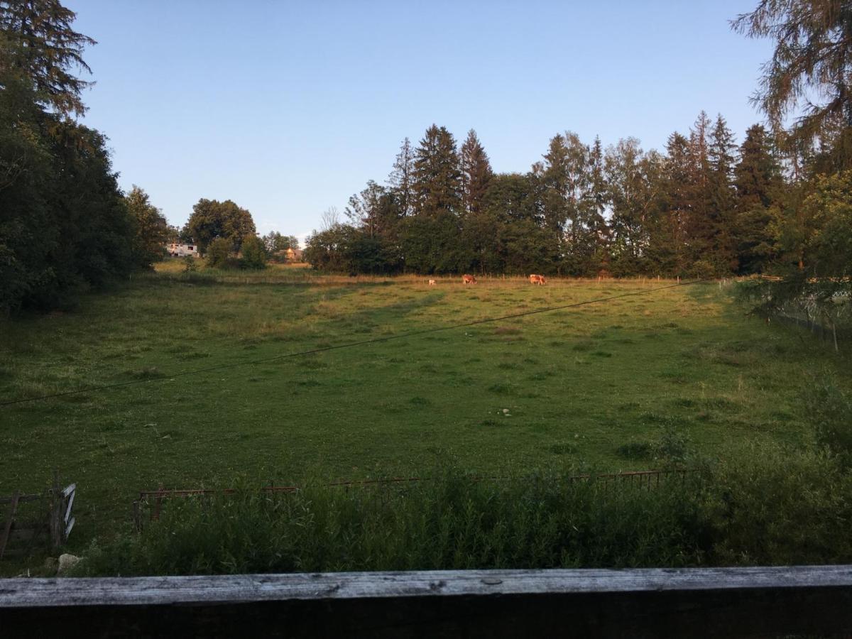 Ukazika Hotell Orawka Exteriör bild